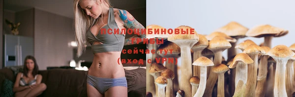 PSILOCYBIN Нязепетровск