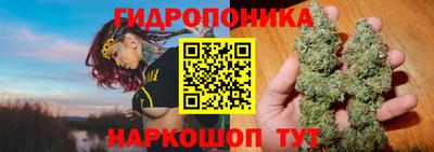 ГАЛЛЮЦИНОГЕННЫЕ ГРИБЫ Беслан