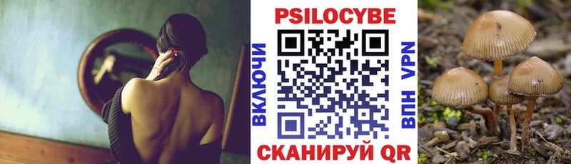 Псилоцибиновые грибы мицелий  blacksprut ONION  Ульяновск  купить наркоту 